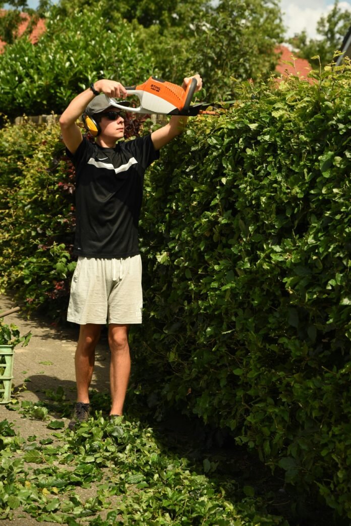 cordless hedge trimmer